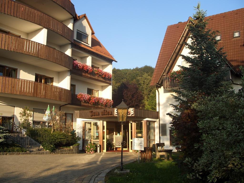 Landidyll Hotel Zum Alten Schloss كيرشنسيتنباخ الغرفة الصورة